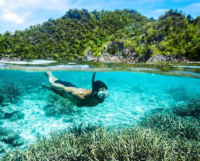 Snorkeling-in-Raja-Ampat