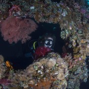Go diving inside the USAT Liberty Shipwreck in Tulamben, Bali thumbnail