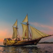 Dive-Liveaboard-in-Indonesia-with-Dive-Concepts thumbnail