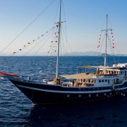 Cruise and Dive Trip in Banda sea thumbnail