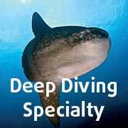 Deep Diving Specialty Course