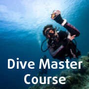 Dive Master Course in Bali