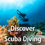 Discover Scuba Diving in Nusa Lembongan