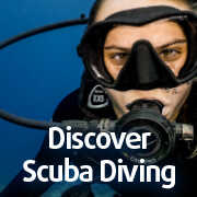 Discover Scuba Diving in Pemuteran