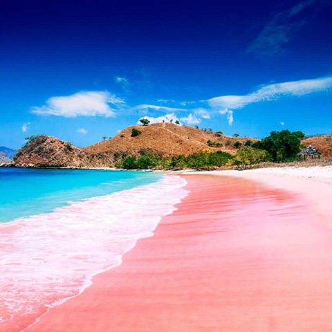 Komodo Pink Beach