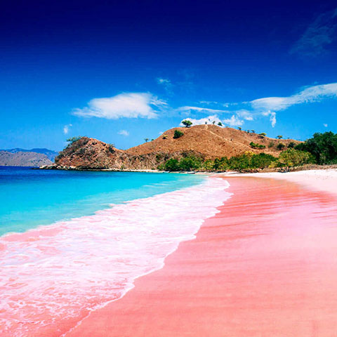 Pink Beach in Komodo Island